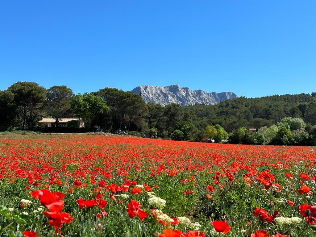 Le Tholonet Villa Lumineuse Avec Piscine Clim 1Ere Etage Vue Panoramique Sur Les Montagnes Sur Le Site De La Sainte-Victoire מראה חיצוני תמונה